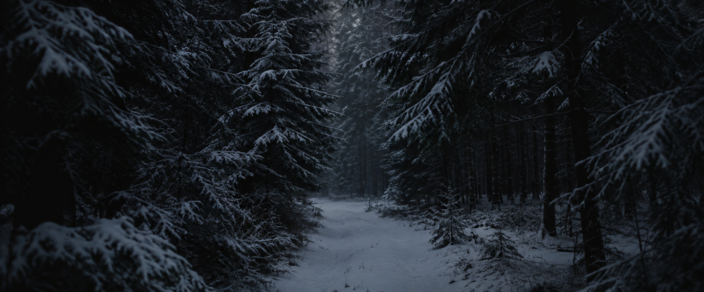 Dark snow-covered evergreen path through winter woods